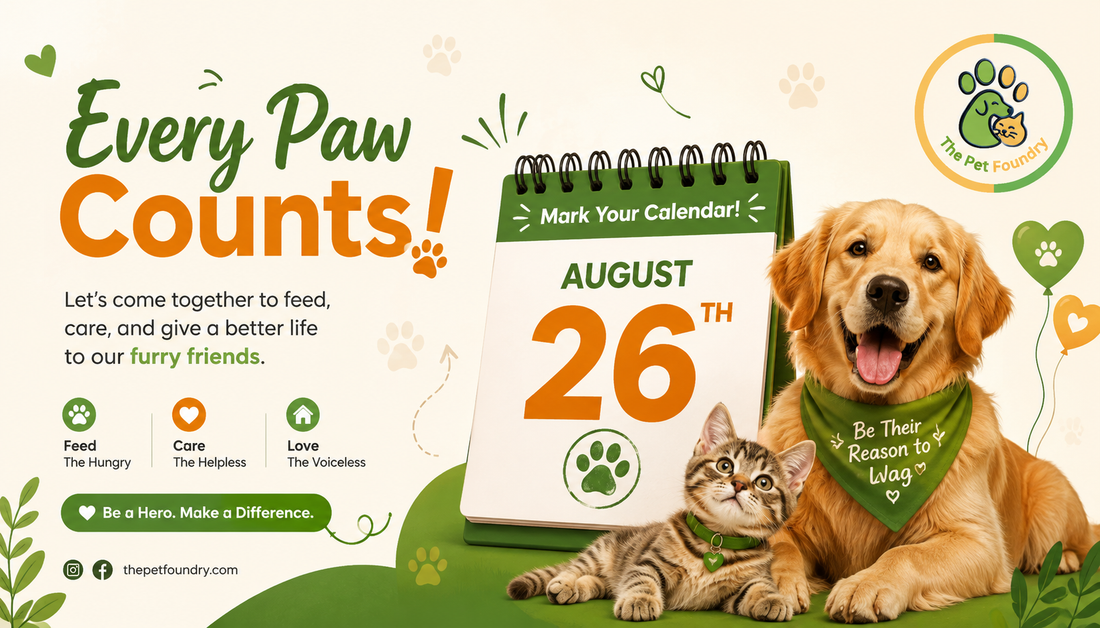 International Dog Day 2026: History, Safe Celebration Ideas, and a Gift Guide for Indian Dog Parents
