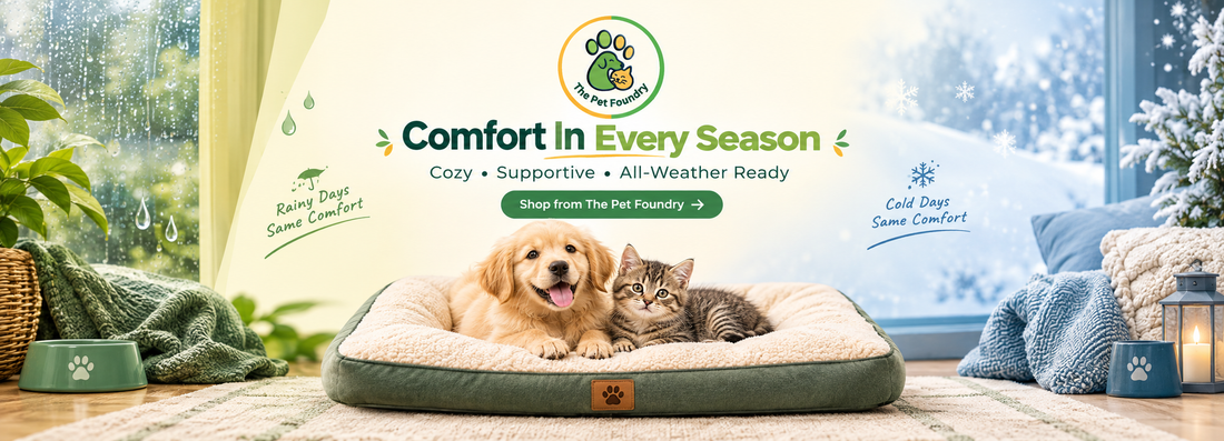 Do "Quick-Dry" Dog Mats and Blankets Actually Work in Indian Monsoon and Winter?