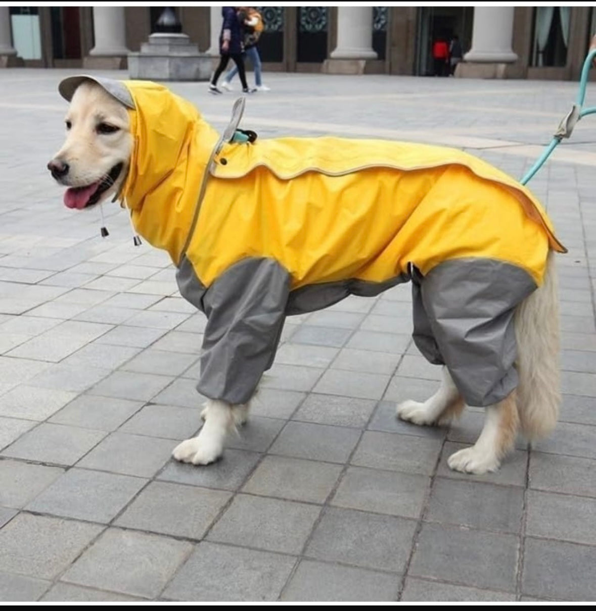 Pet Rain Coat | Dog Rain Jacket | Dog Rain Protection | Dogs & Cats