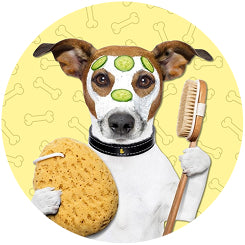 Dog Grooming