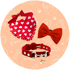 Dog Accessories