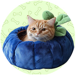 Cat Mattresses & Sofas