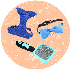 Cat Accessories