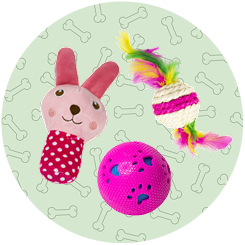 Cat Toys