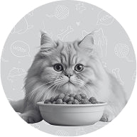 Cat Food