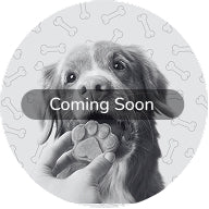 Dog Treat