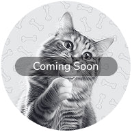 Cat Treat