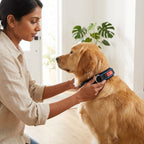 Patento Sports Dog Collar | Heavy-Duty Adjustable Nylon Athletic Reflective Collar | For Active Dogs