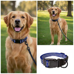 Nunbell Reflective Bone Print Dog Leash | High-Visibility Fun Pattern Night Safety Walking Lead | For All Breed Dogs