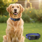 Nunbell Reflective Bone Print Dog Leash | High-Visibility Fun Pattern Night Safety Walking Lead | For All Breed Dogs