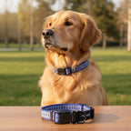 Nunbell Reflective Bone Print Dog Leash | High-Visibility Fun Pattern Night Safety Walking Lead | For All Breed Dogs