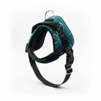 Padded Cloth Dog Harness | Soft Mesh Breathable No-Pull Adjustable Walking Vest | For All Breed Dogs