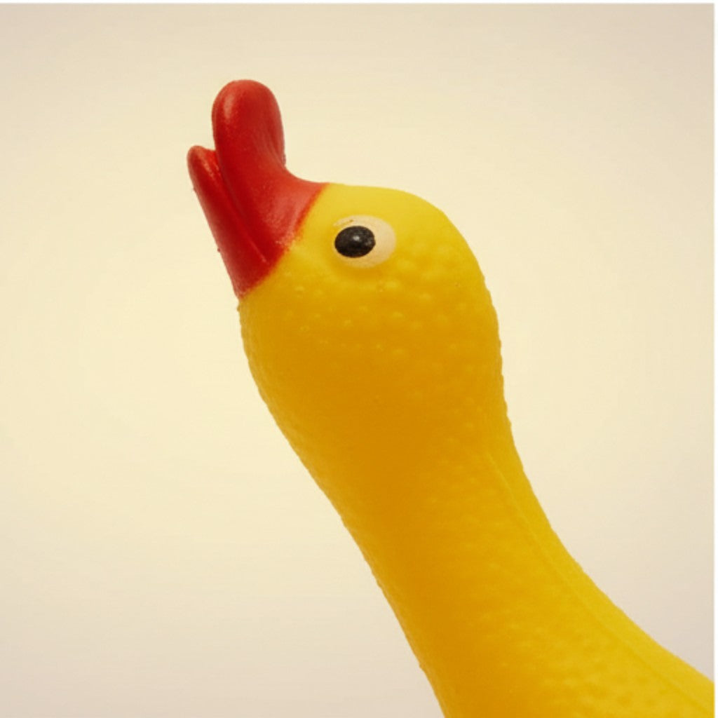 Squeaky Vinyl Duck Dog Toy | Soft Squeaking Rubber Bird Chew Toy | For Small to Medium Dogs