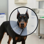 Electronic Dog E-Collar with Button Lock | Remote Training Collar Adjustable | For Medium & Large Dogs