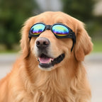 Dog Goggles | UV-Protection Windproof Anti-Fog Eye Wear | For Small to Large Dogs