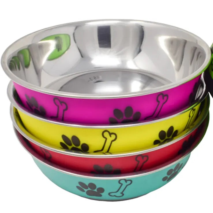 Dolly Colourful Plastic Dog & Cat Feeding Bowl | Lightweight Fun Design Food Dish | For All Pets