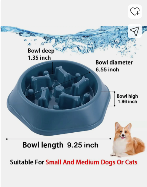 Plastic Slow Feeder Dog Bowl | Anti-Bloat Maze Feeding Dish for Digestive Health | For All Breed Dogs