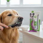Nunbell Dog & Cat Dental Toothpaste Kit | Enzymatic Oral Care with Toothbrush Flavoured | For All Pets