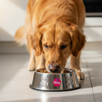 Holy Paws Heavy-Duty Stainless Steel Dog & Cat Food Bowl | Anti-Skid Base Dishwasher Safe | For All Pets