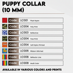 10mm Nylon Dog Collar | Lightweight Adjustable Quick-Release Buckle Neck Strap | For Small Dogs & Puppies