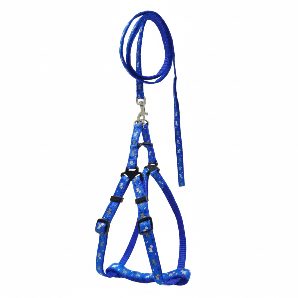 Multi-Colour Nylon Dog Leash & Harness Set | Vibrant Printed Adjustable No-Pull Combo | For Small to Medium Dogs