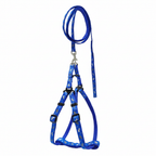 Multi-Colour Nylon Dog Leash & Harness Set | Vibrant Printed Adjustable No-Pull Combo | For Small to Medium Dogs