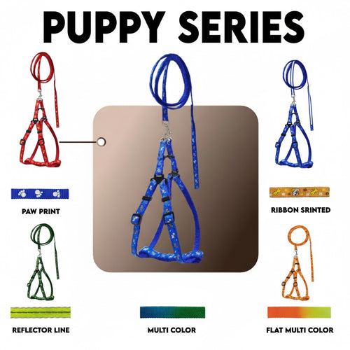 15mm Nylon Dog Leash & Harness Set | Adjustable No-Pull Lightweight Walking Combo | For Medium Dogs