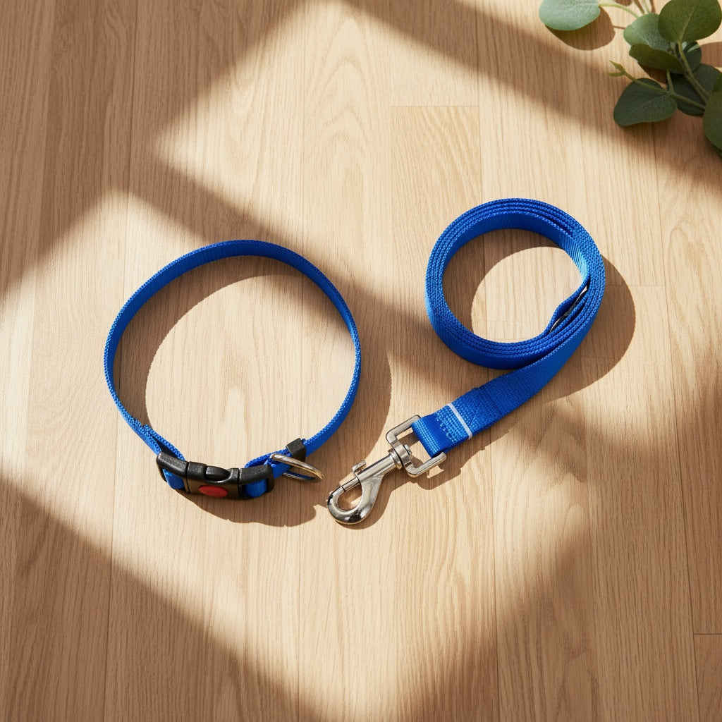 Plain Nylon Dog Leash & Collar Set | Classic Lightweight Adjustable Walking Combo | For All Breed Dogs