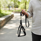 Plain Nylon Dog Leash & Harness Set | Lightweight No-Pull Adjustable Walking Combo | For All Breed Dogs