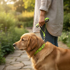 Plain Nylon Padded Dog Leash & Collar Set | Soft Cushioned Adjustable Walking Combo | For All Breed Dogs