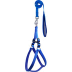 Plain Nylon Padded Dog Leash & Harness Set | Soft Cushioned No-Pull Adjustable Combo | For All Breed Dogs