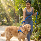 Plain Nylon Padded Dog Leash & Harness Set | Soft Cushioned No-Pull Adjustable Combo | For All Breed Dogs