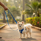 Plain Nylon Padded Dog Leash & Harness Set | Soft Cushioned No-Pull Adjustable Combo | For All Breed Dogs