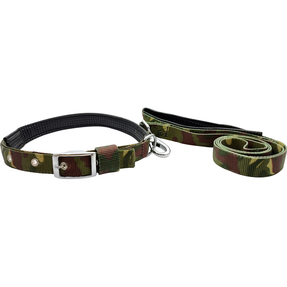 Polyester Printed Padded Dog Leash & Collar Set | Cushioned Colourful Pattern Walking Combo | For All Breed Dogs