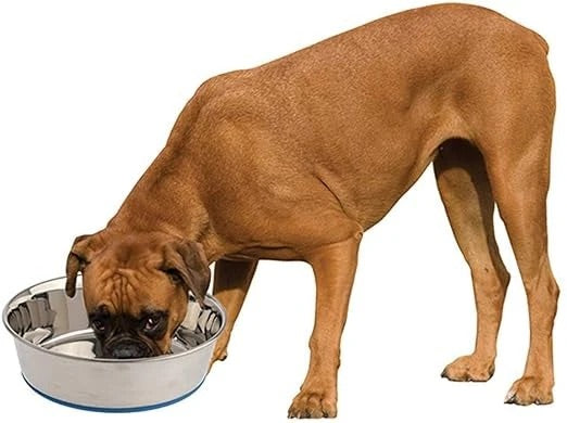 Holy Paws Tuff & Elegant Stainless Steel Pet Feeding Bowl | Heavy-Gauge Durable Anti-Skid Food Dish | For Dogs & Cats