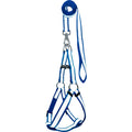 Reflective Safety Dog Leash & Harness Set | High-Visibility No-Pull Night Walking Combo | For All Breed Dogs