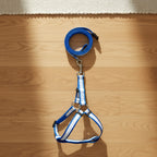 Reflective Safety Dog Leash & Harness Set | High-Visibility No-Pull Night Walking Combo | For All Breed Dogs