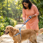 Reflective Safety Dog Leash & Harness Set | High-Visibility No-Pull Night Walking Combo | For All Breed Dogs