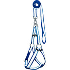 Reflective Safety Dog Leash & Harness Set | High-Visibility No-Pull Night Walking Combo | For All Breed Dogs