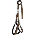 Cotton Padded Dog Leash & Harness Set | Soft Breathable No-Pull Comfortable Combo | For All Breed Dogs