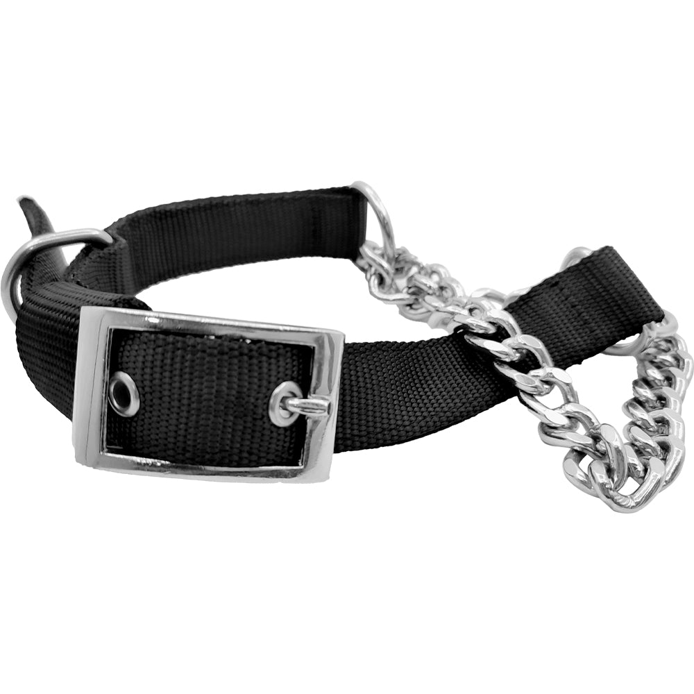 Plain Nylon Dog Choke Collar with Grinded Chain | Slip Training Adjustable Collar | For Medium & Large Dogs