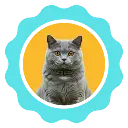 10.webp