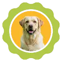 2.webp