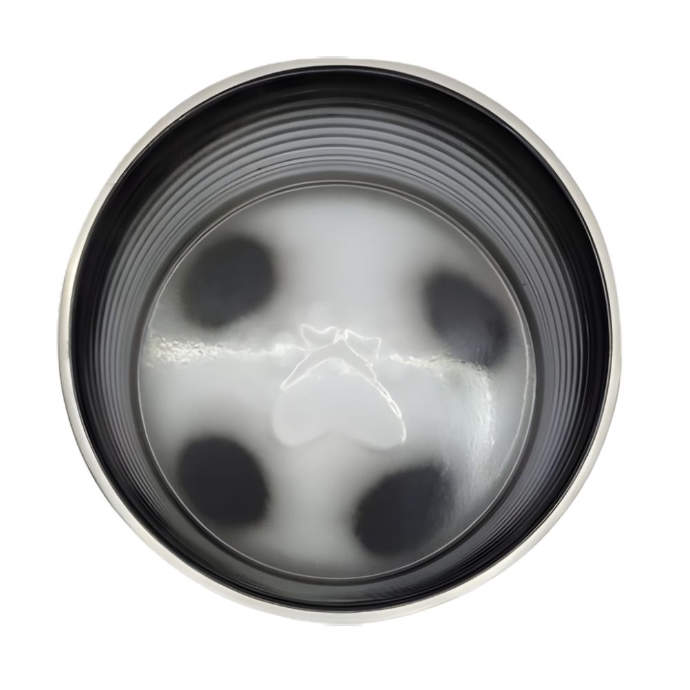 The Pet Foundry Rivel Shade Bowl