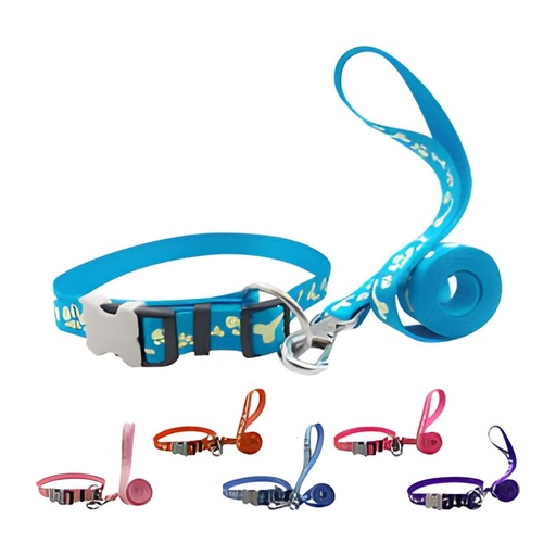 [TPF_Int_24] The Pet Foundry Glow in the Dark Leash & Collar